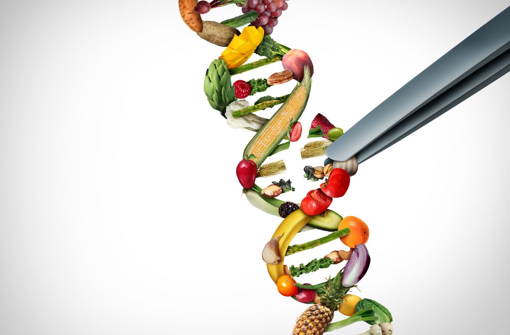 DNA strand made from fruits and vegetables.